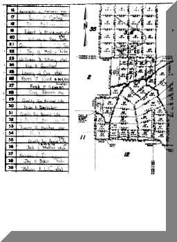 Big Hollow Plat Map.jpg (371989 bytes)