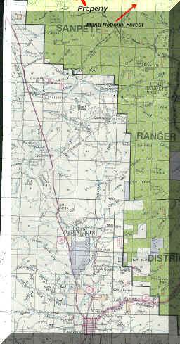 Forest_Service_Map.jpg (429285 bytes)